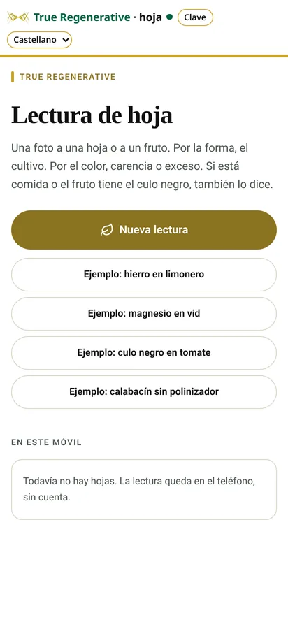 Captura de la app Hoja: Inicio (datos de ejemplo)