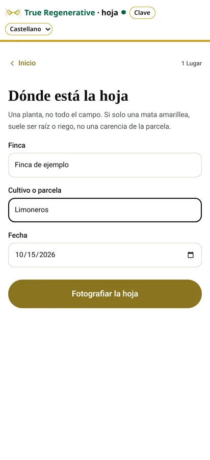 Captura de la app Hoja: Lugar (datos de ejemplo)