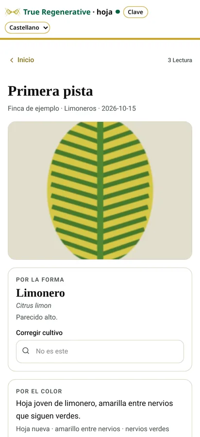 Captura de la app Hoja: Resultado (datos de ejemplo)