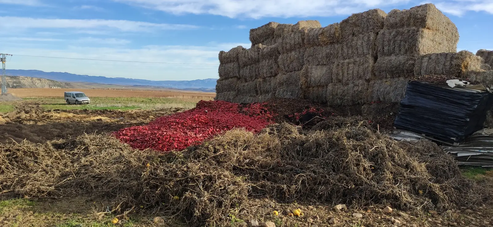 Pacas de paja y restos vegetales listos para compostar en la finca