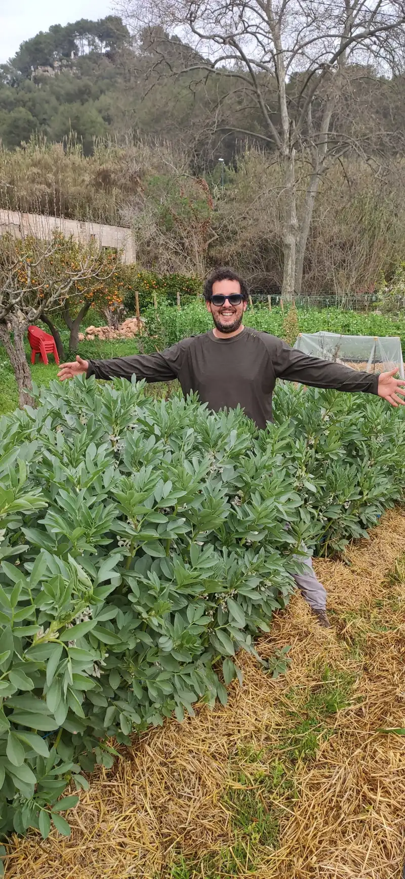 Huerta regenerativa en plena vegetación