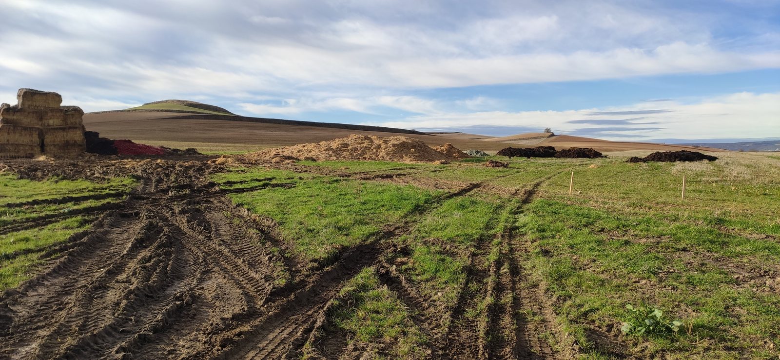 Tormantos — paja, compost y materia orgánica