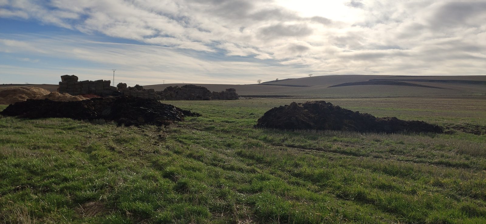 Tormantos — pilas de compost en pasto