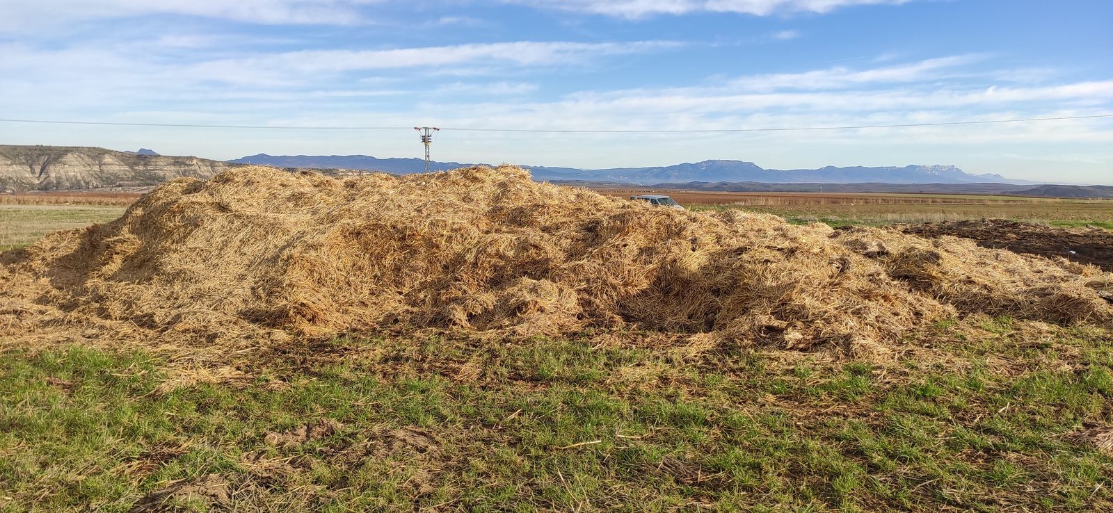 Tormantos — materia orgánica en campo