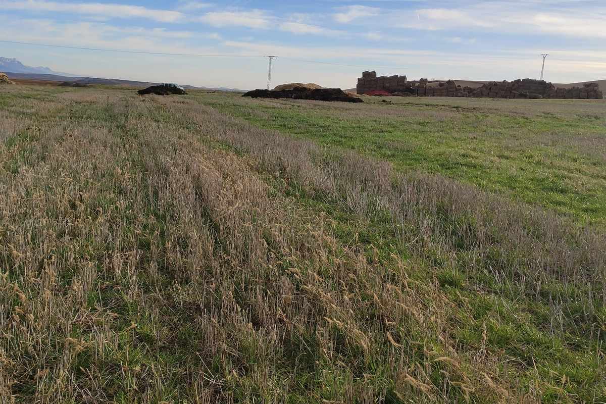 Huerta de Tormantos — campo regenerativo