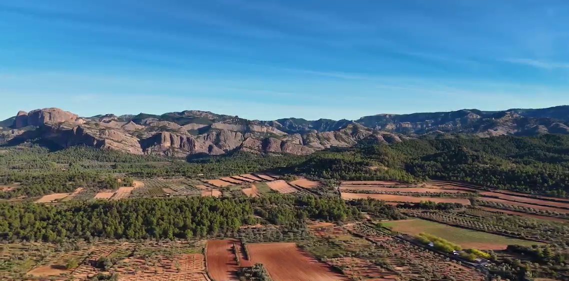 Velsam Arnes — paisaje de finca (Terra Alta)