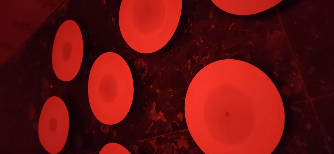 Cromatografías de suelo bajo luz roja