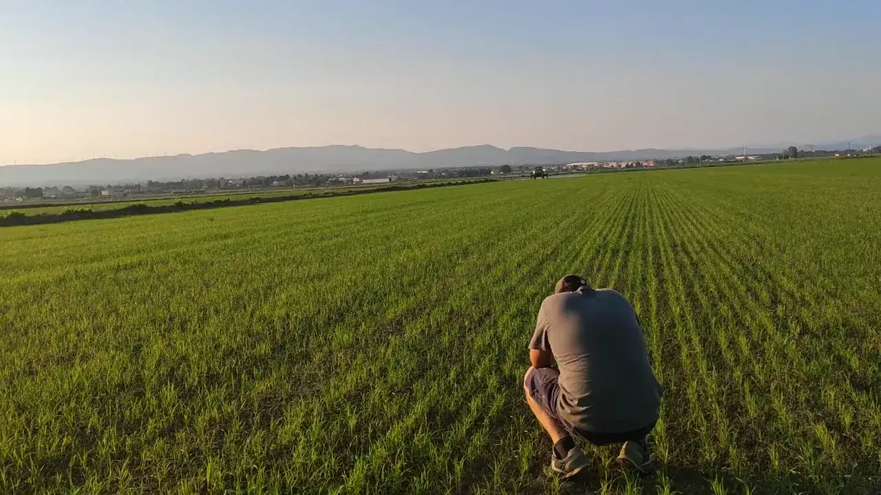 Agriculteur observant sa parcelle de près