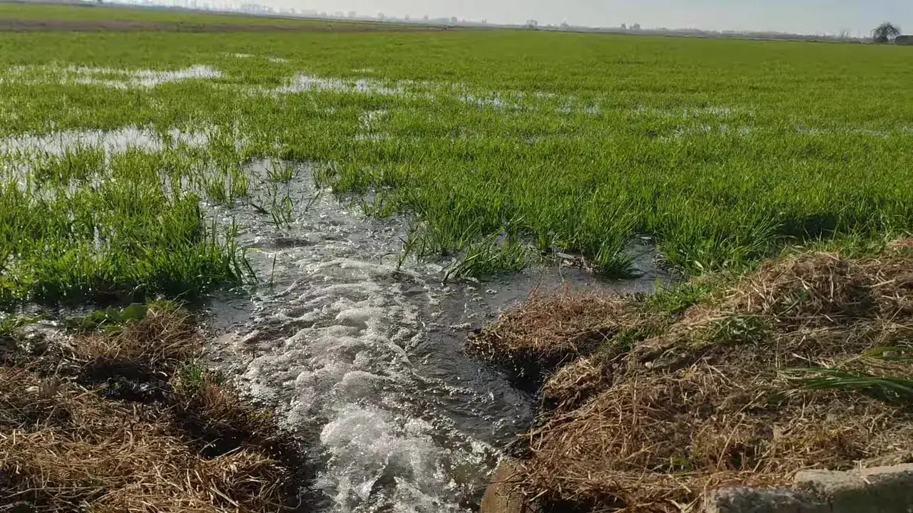 Bewässerungswasser fließt in einem Kanal zwischen den Flächen