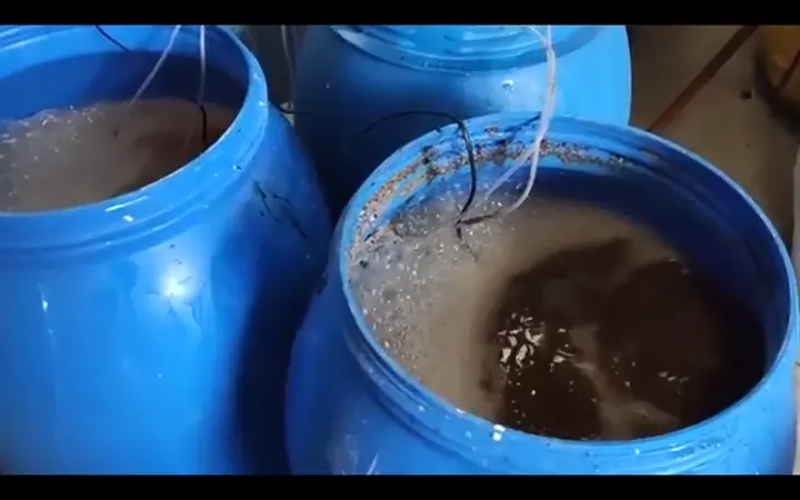 Bidones con biofermento en preparación