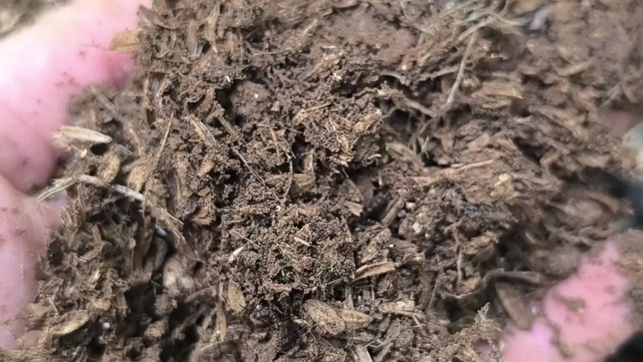 Puñado de tierra con restos orgánicos en la mano
