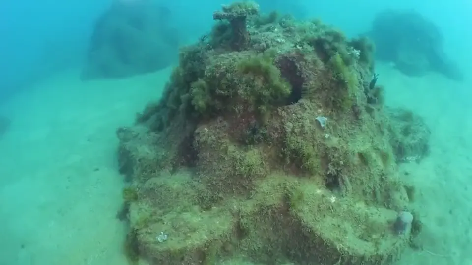 Biótopo artificial colonizado por algas e invertebrados, projeto UGI (Underwatergardens International)