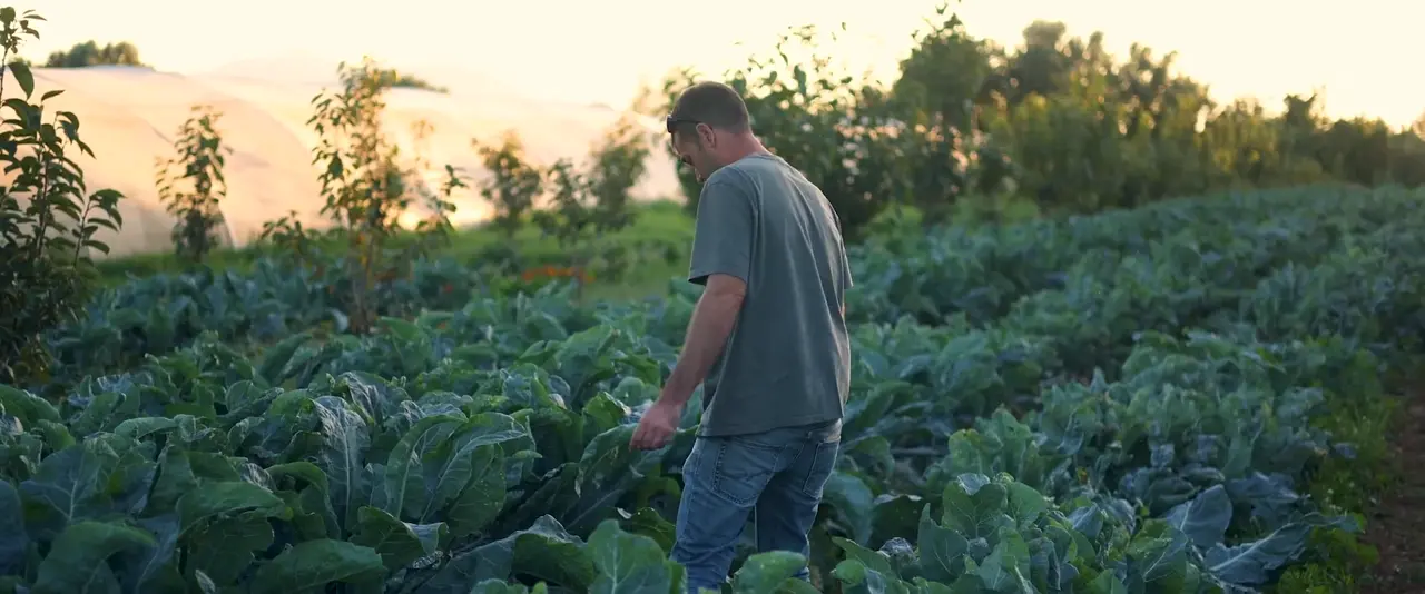 Xavier Vélez en un campo de cultivo